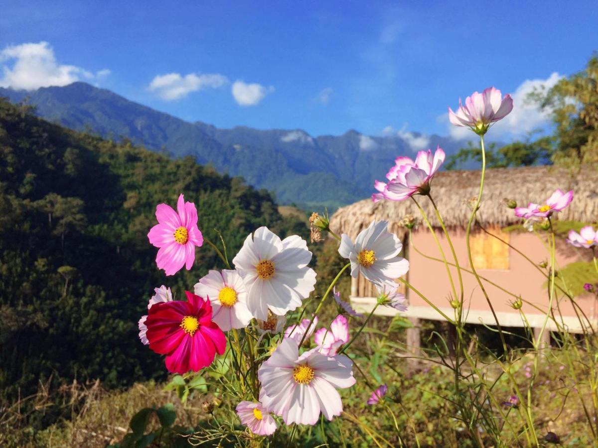 Chapa Farmstay - Mountain Retreat Sapa Eksteriør billede