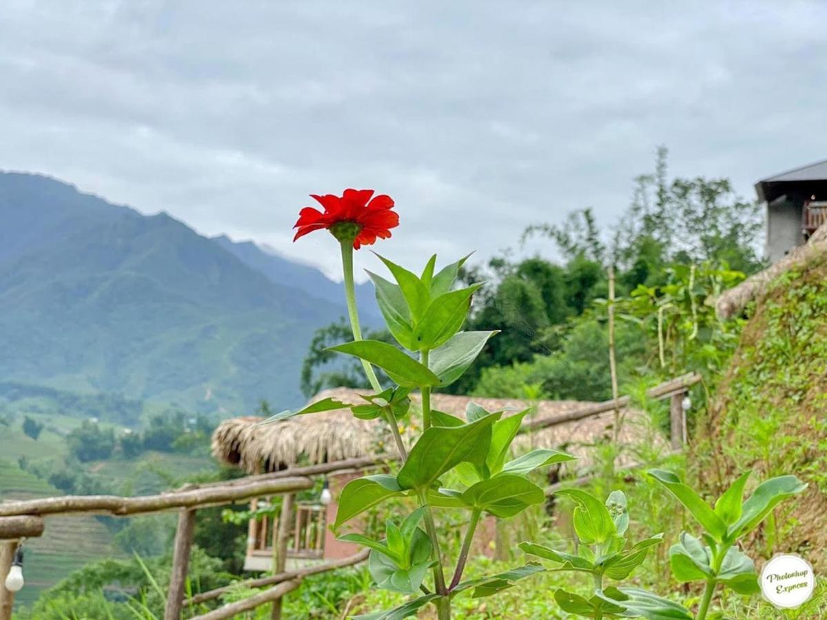 Chapa Farmstay - Mountain Retreat Sapa Eksteriør billede