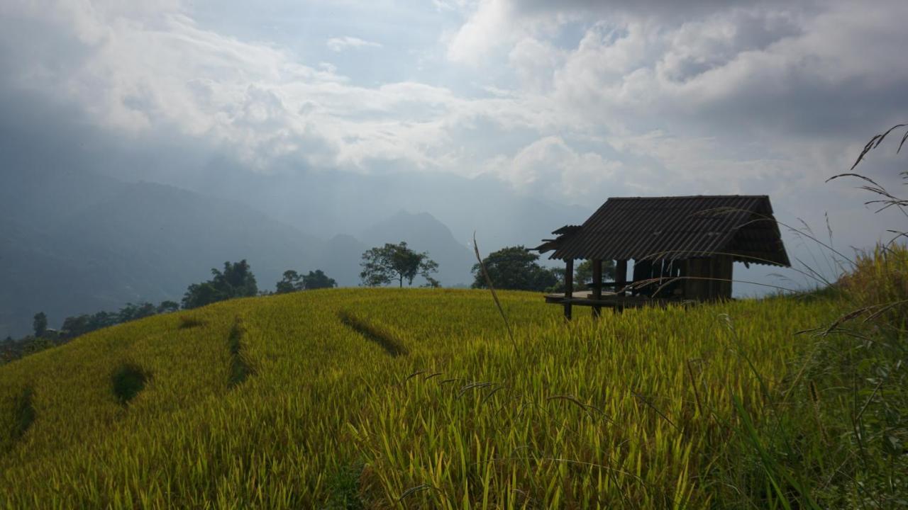 Chapa Farmstay - Mountain Retreat Sapa Eksteriør billede