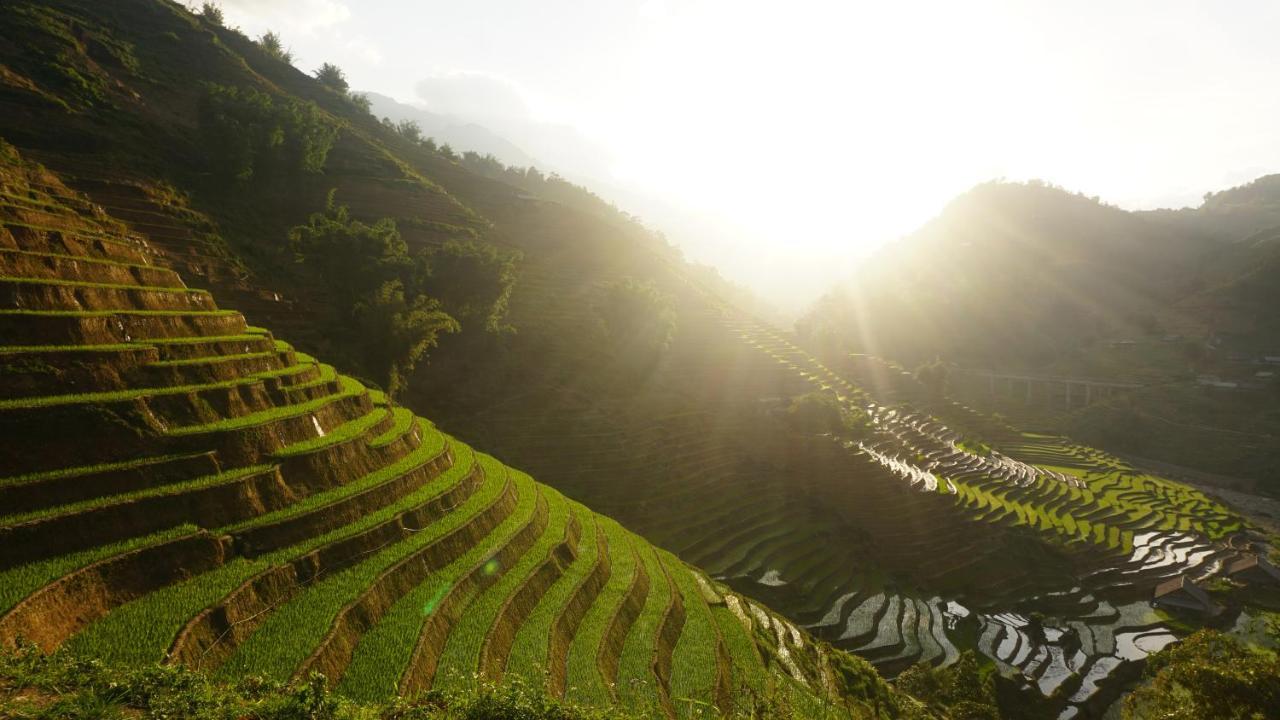 Chapa Farmstay - Mountain Retreat Sapa Eksteriør billede