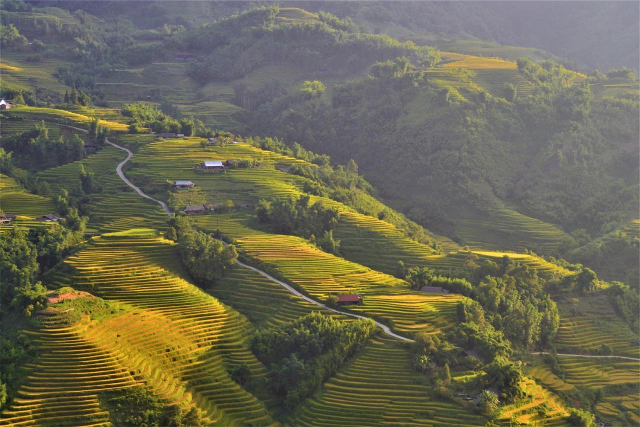 Chapa Farmstay - Mountain Retreat Sapa Eksteriør billede