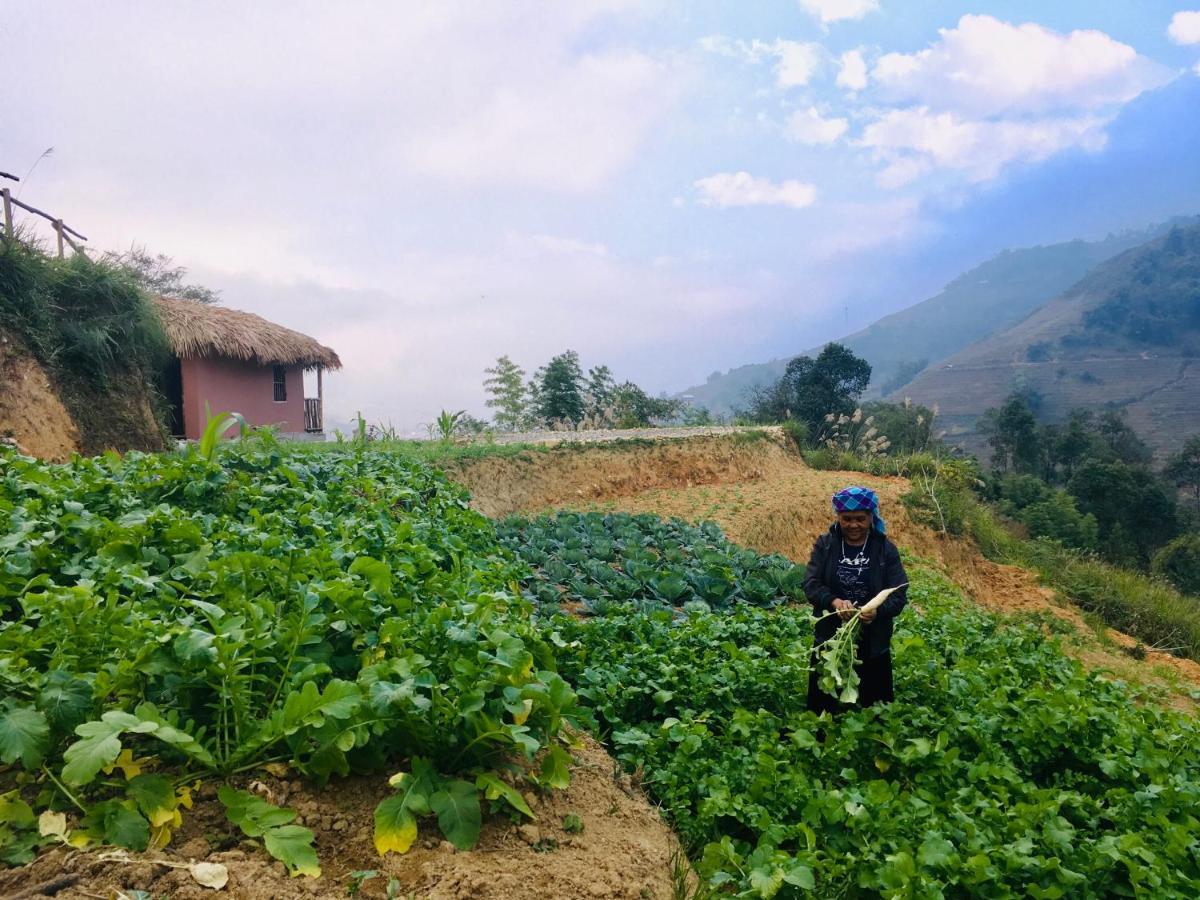Chapa Farmstay - Mountain Retreat Sapa Eksteriør billede