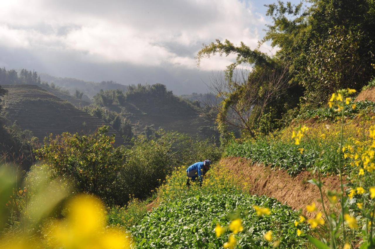 Chapa Farmstay - Mountain Retreat Sapa Eksteriør billede