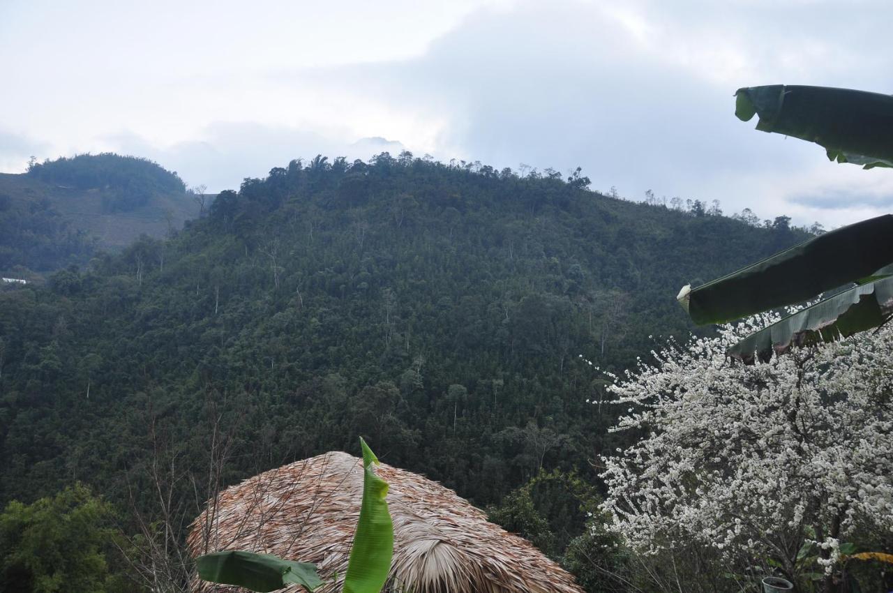 Chapa Farmstay - Mountain Retreat Sapa Eksteriør billede