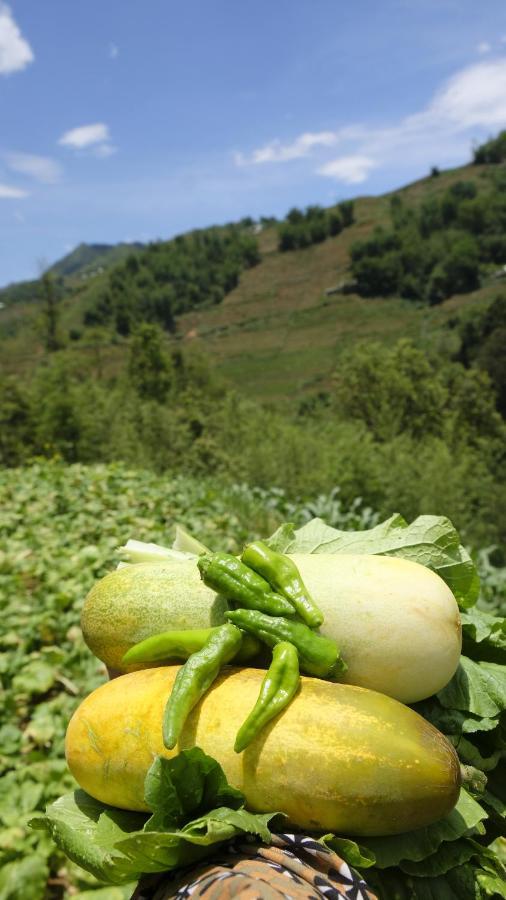 Chapa Farmstay - Mountain Retreat Sapa Eksteriør billede